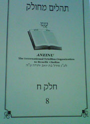A copy of one of the 24 tehilim books