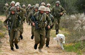 Israeli combat soldiersw